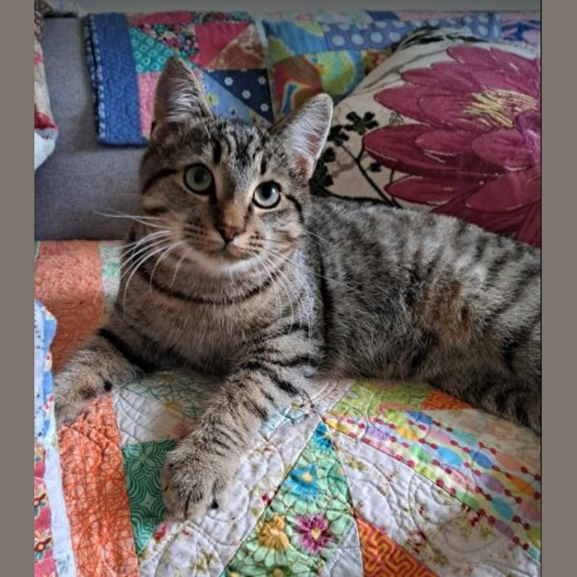 Photo of Miro