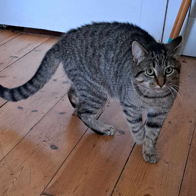 Photo of Miro