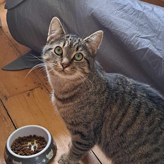 Photo of Miro