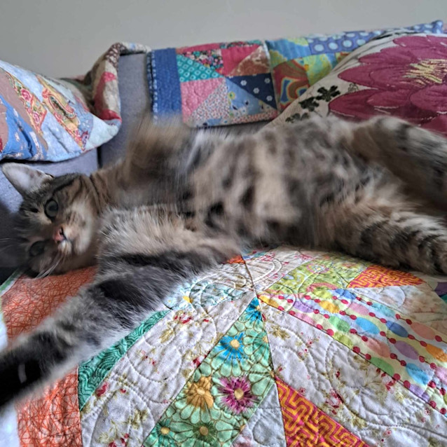 Photo of Miro