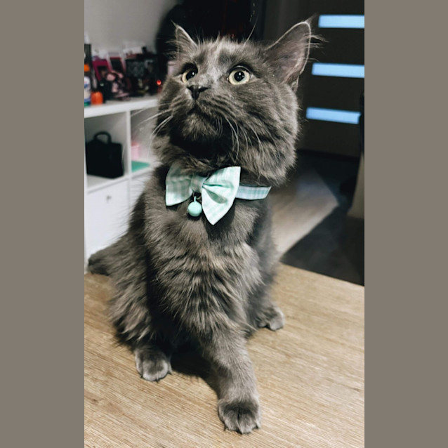 Photo of Harry