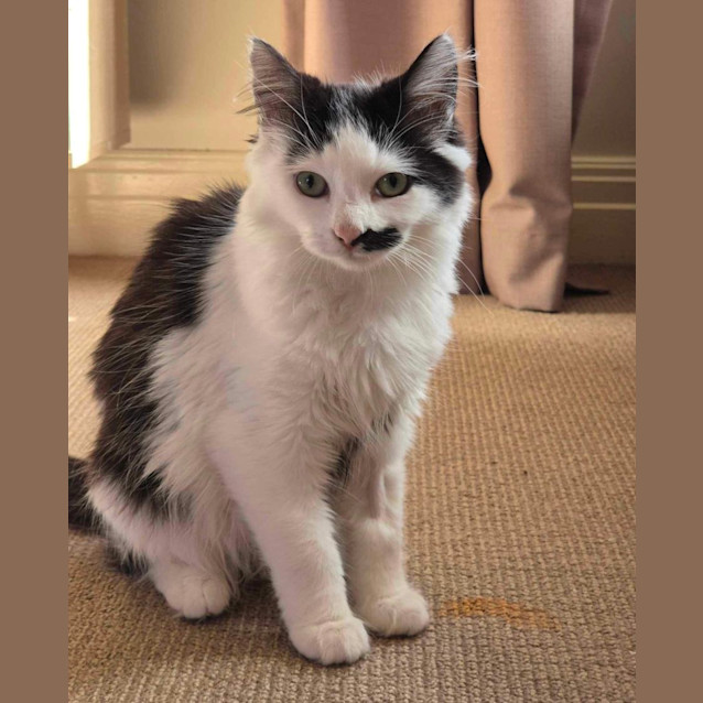 Photo of ❤️ Panda & Pumba ❤️