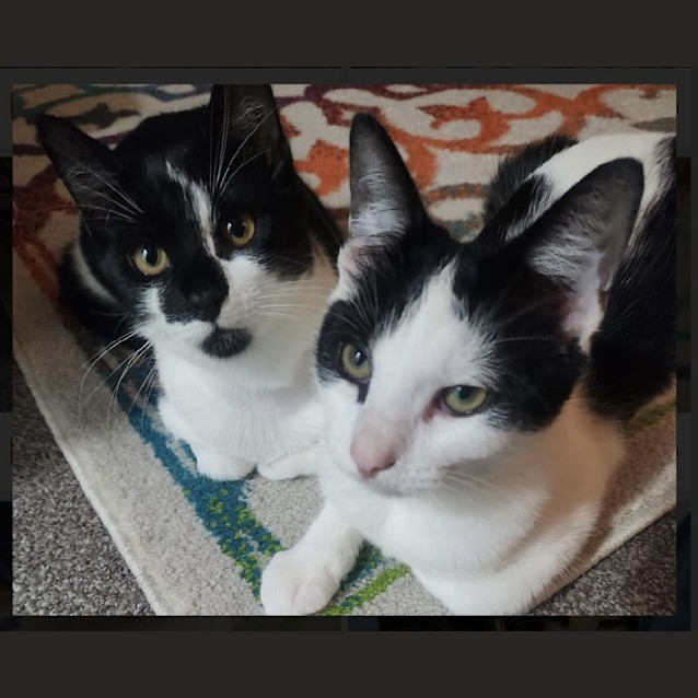 Photo of Dale & Brennan