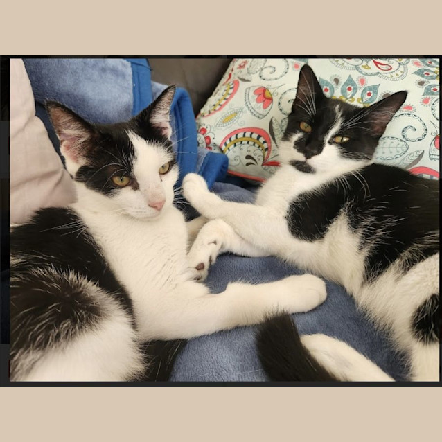 Photo of Dale & Brennan