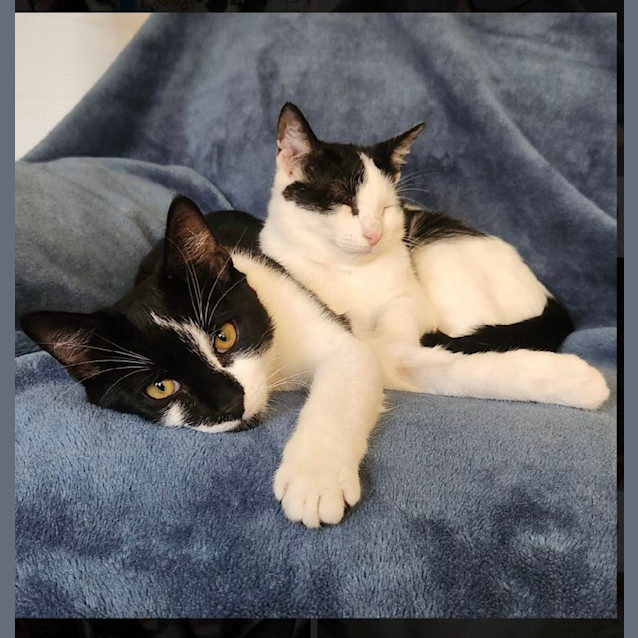 Photo of Dale & Brennan