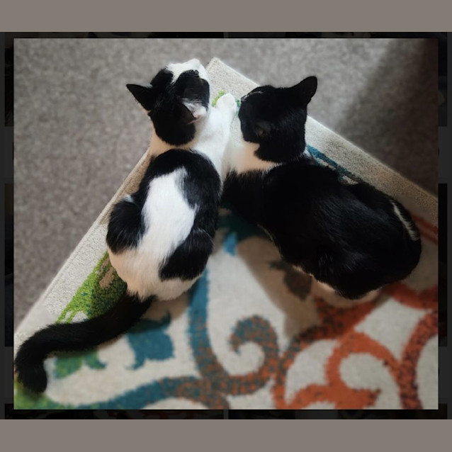 Photo of Dale & Brennan