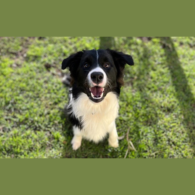 Photo of Dilbert