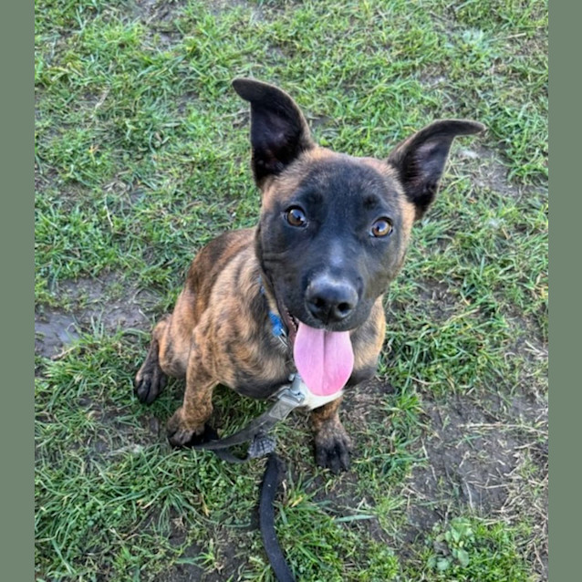 Photo of Ron   63526