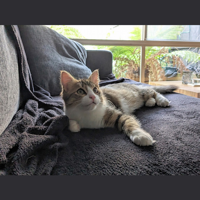 Photo of Kip