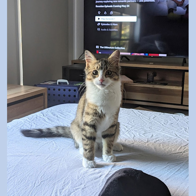 Photo of Kip