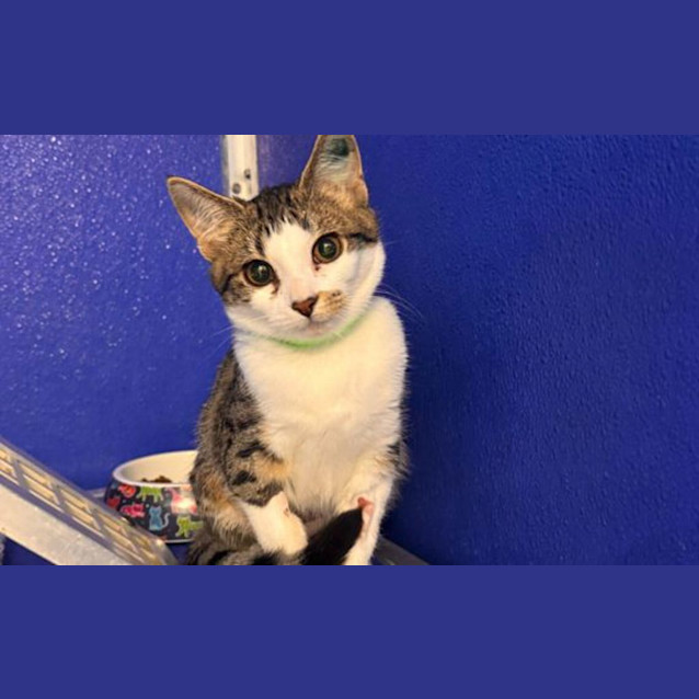 Photo of Kiki