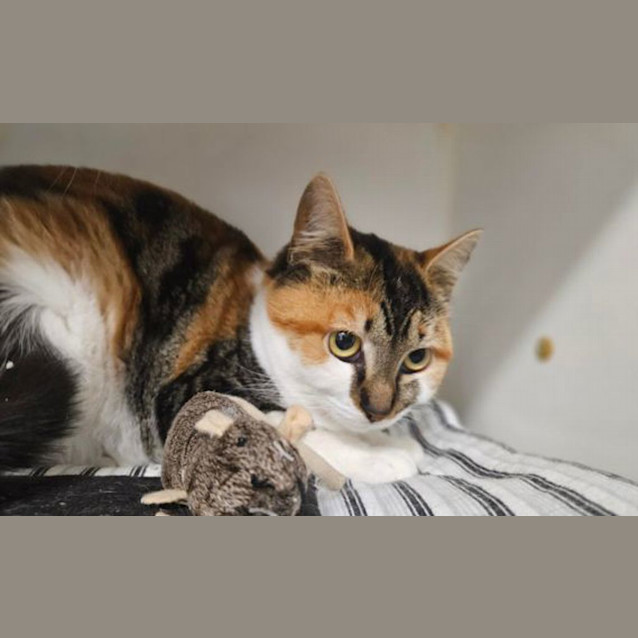 Photo of Maeve