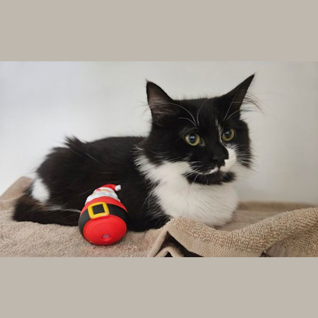 Photo of Annie