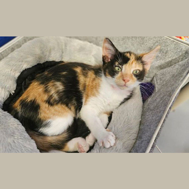Photo of Trudy