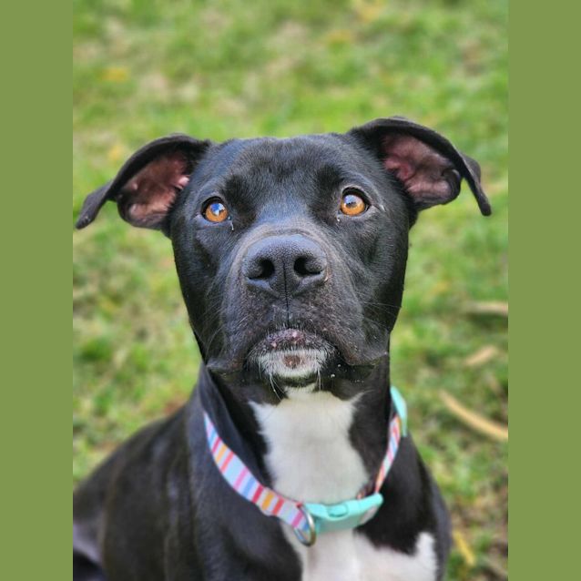 Photo of 🍭 Bronte 5192 🍭