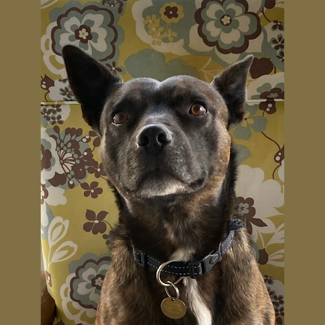 Photo of Parky 