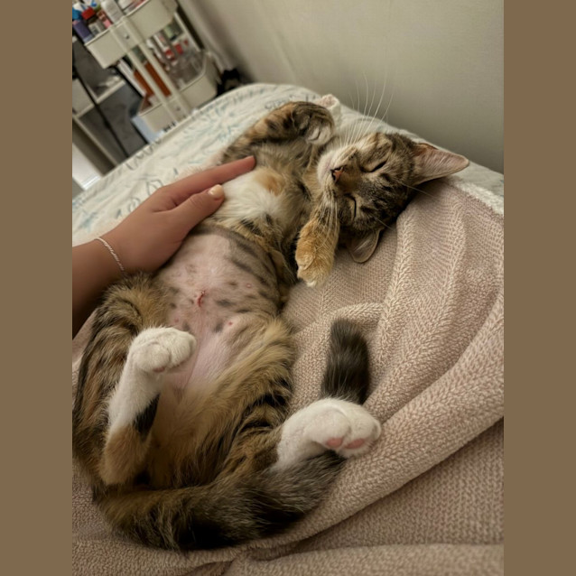 Photo of Sienna
