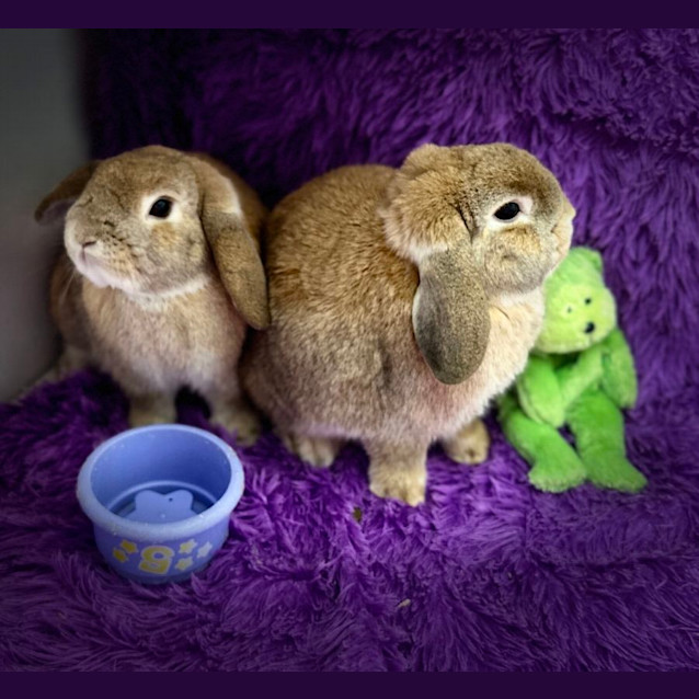 Photo of Britney & Charlie