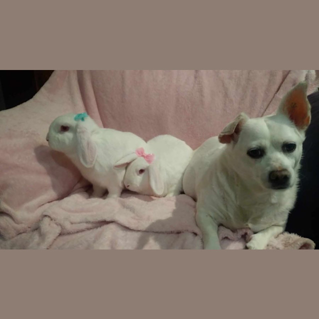 Photo of Jasmine & Belle