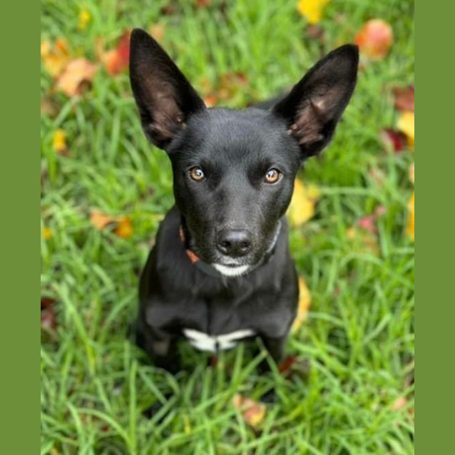 Photo of Kinnie 