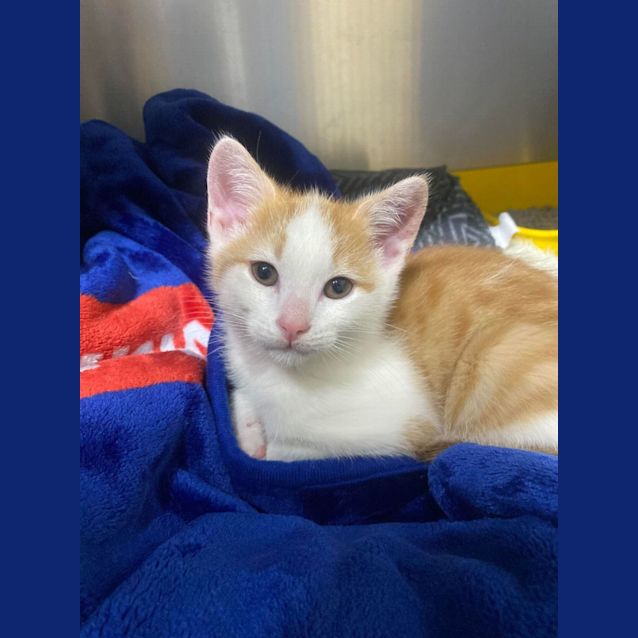 Photo of Kevin   Located In Kew