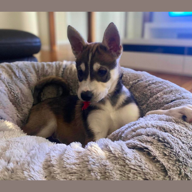 Photo of Emilio Estevez