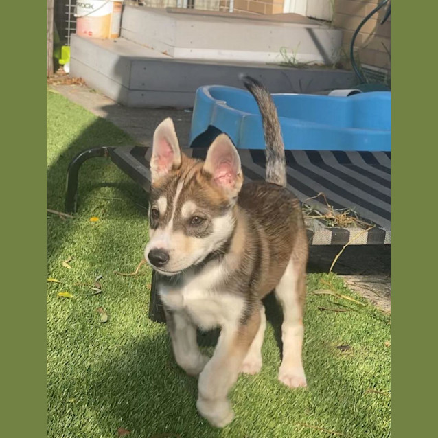 Photo of Emilio Estevez