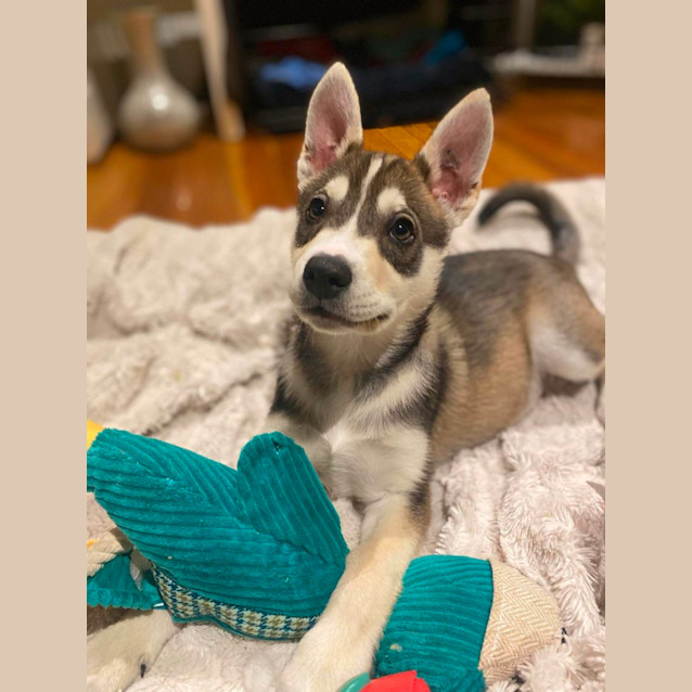 Photo of Emilio Estevez