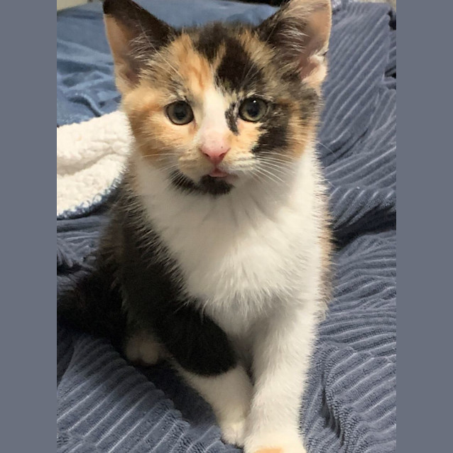 Photo of Belle