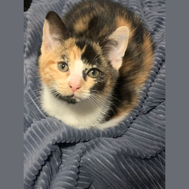 Photo of Belle