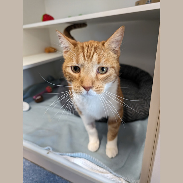 Photo of Mister