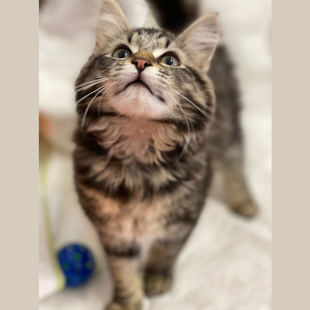 Photo of Ziggy