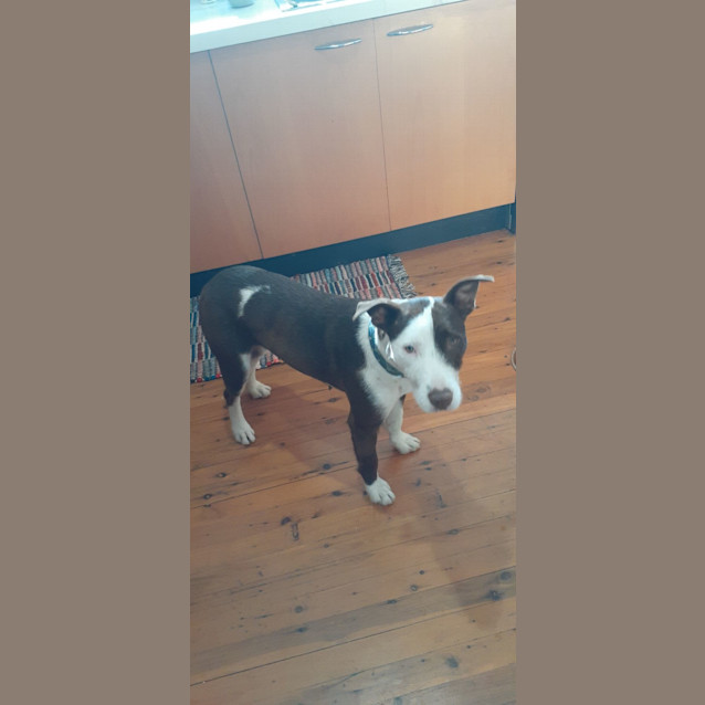 Photo of Cilla