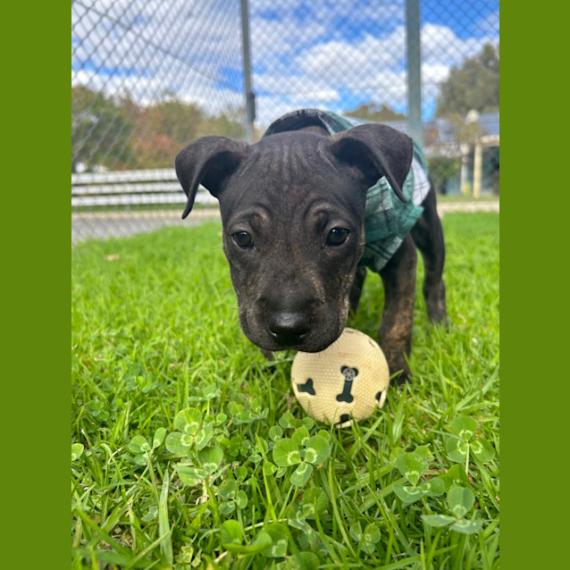Photo of Edna