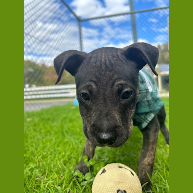 Photo of Edna