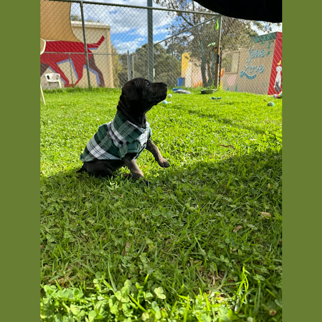 Photo of Edna