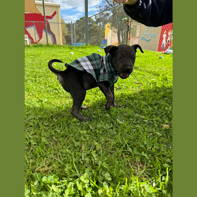 Photo of Edna