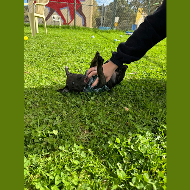 Photo of Edna