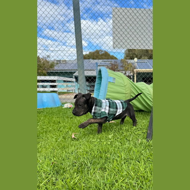 Photo of Edna