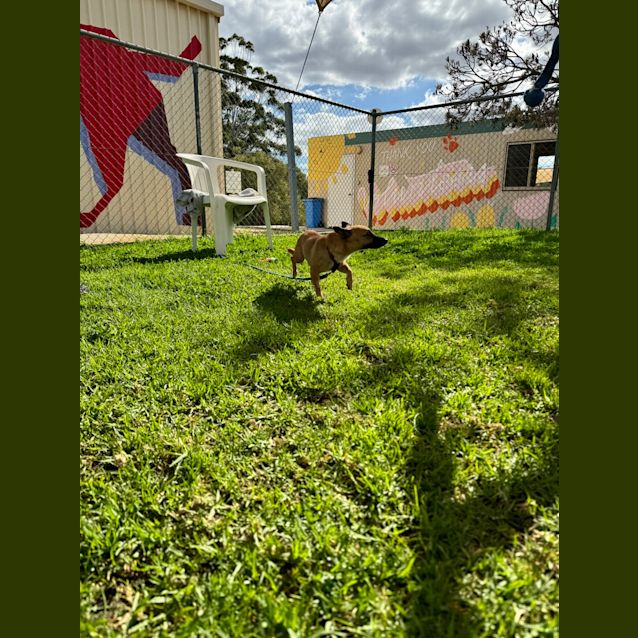 Photo of Tippi