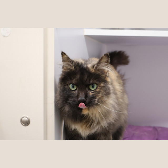 Photo of Holly