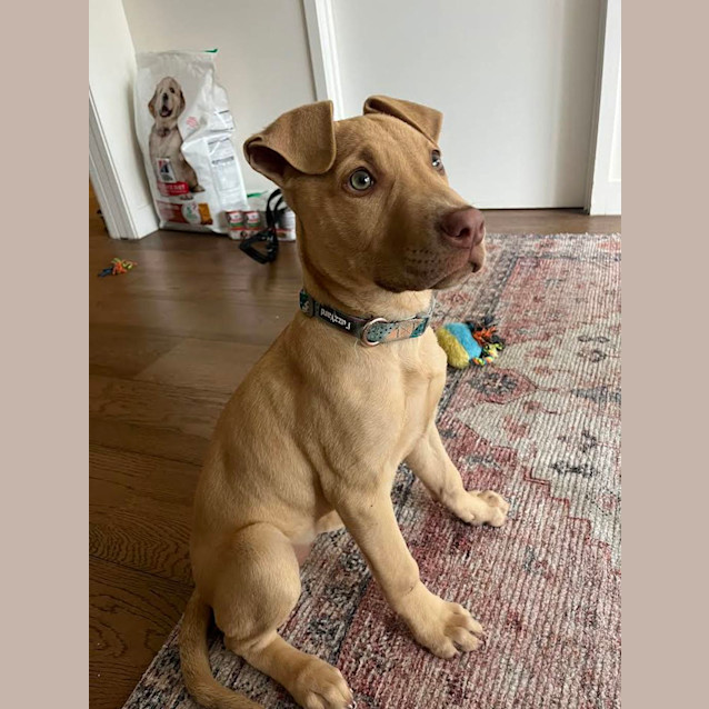 Photo of Lucy