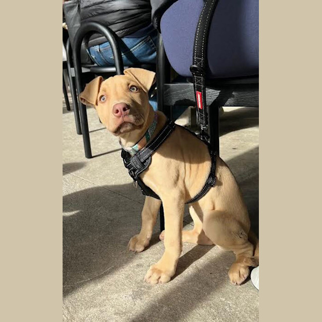 Photo of Lucy