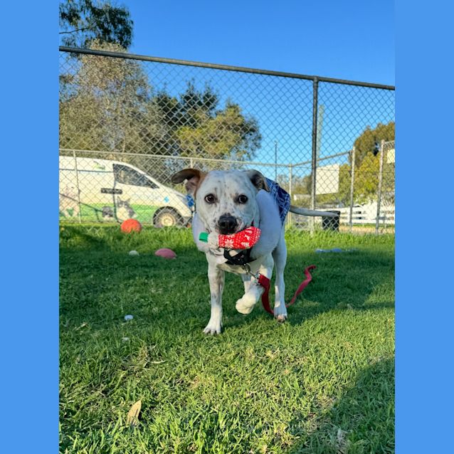 Photo of Jessie