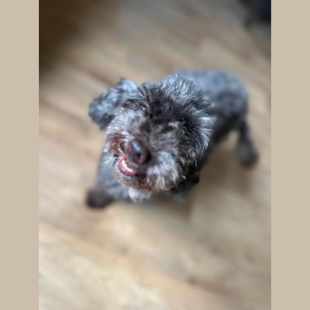 Photo of Gigi