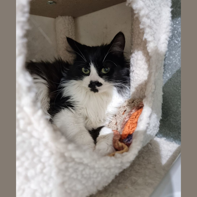 Photo of Jazz