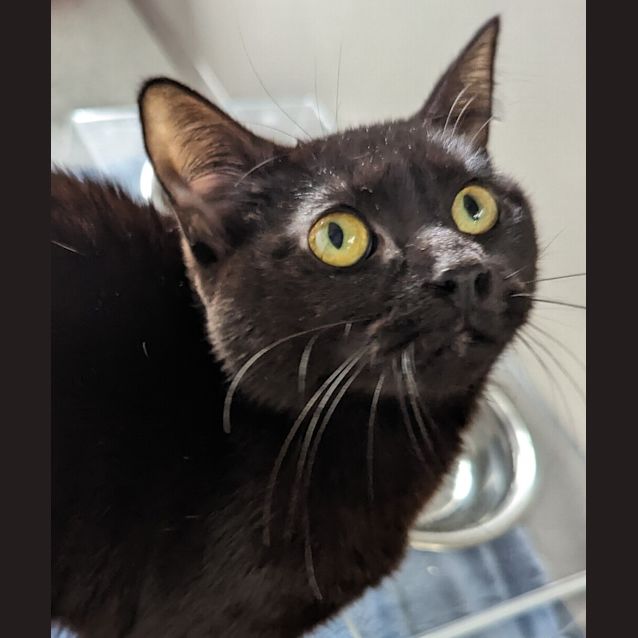 Photo of Mae