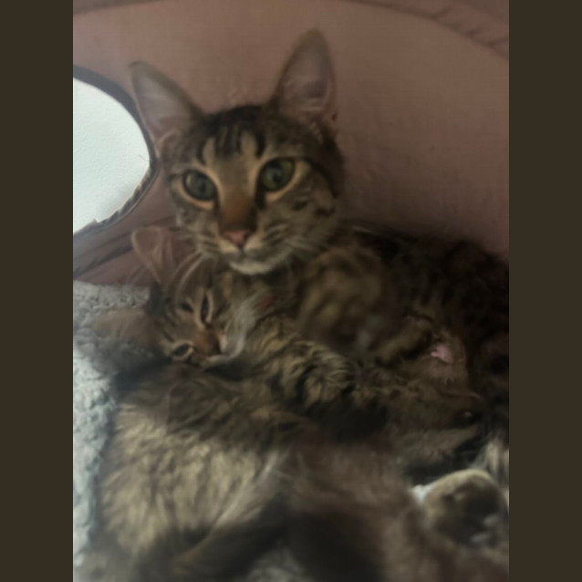 Photo of Elodie