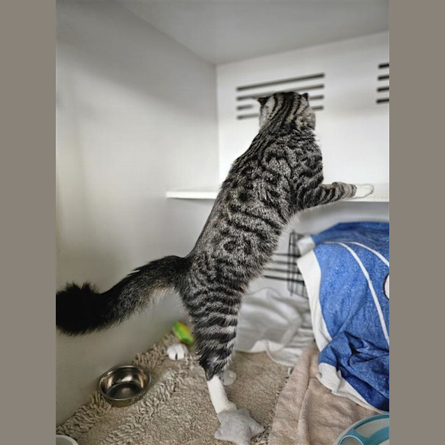Photo of Mazzy
