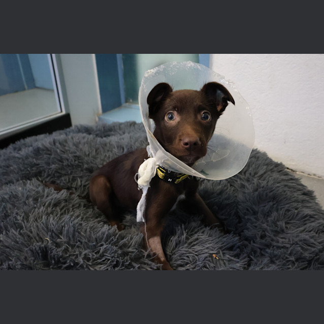 Photo of Chancey